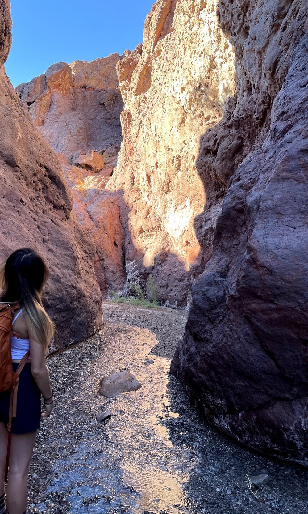 Arizona Hot Springs Trail 10